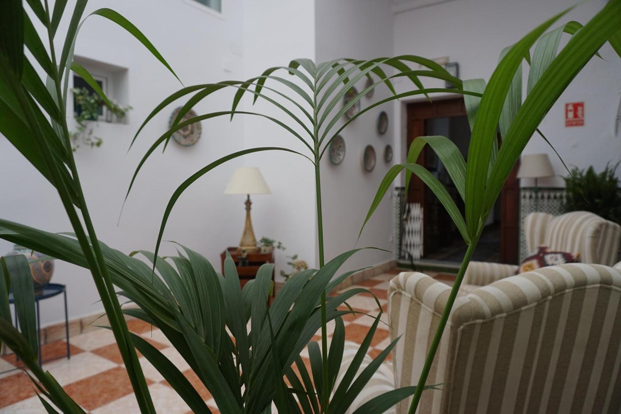 Montserrat Casa Del Mar Chipiona Eksteriør billede